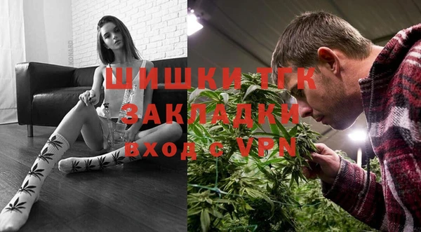 соль ск Белокуриха