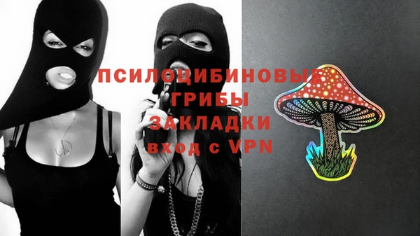 соль ск Белокуриха