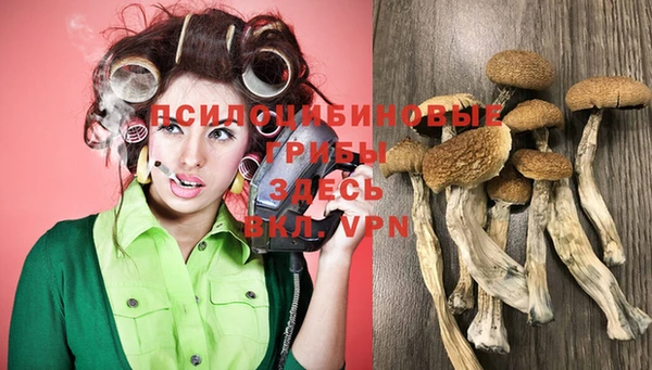 не бодяженный Богданович